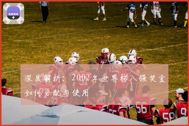 深度解析:2002年世界杯八强奖金如何分配与使用