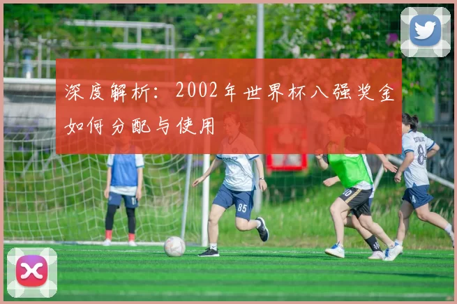 深度解析:2002年世界杯八强奖金如何分配与使用