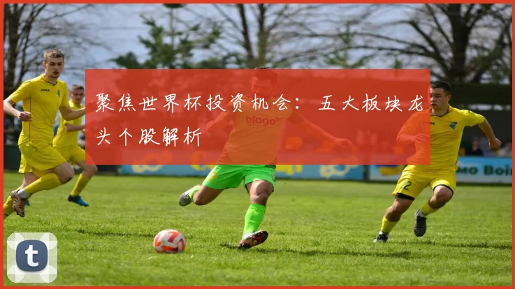 聚焦世界杯投资机会:五大板块龙头个股解析
