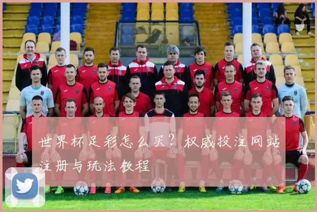 世界杯足彩怎么买?权威投注网站注册与玩法教程