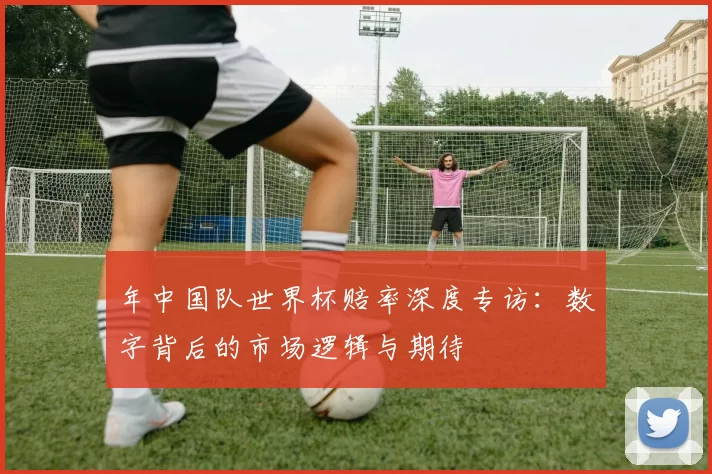 年中国队世界杯赔率深度专访：数字背后的市场逻辑与期待