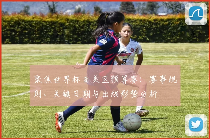 聚焦世界杯南美区预算赛：赛事规则、关键日期与出线形势分析