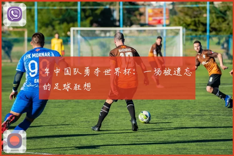 年中国队勇夺世界杯：一场被遗忘的足球狂想