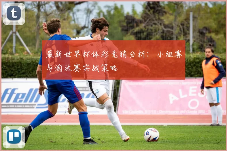 最新世界杯体彩竞猜分析:小组赛与淘汰赛实战策略