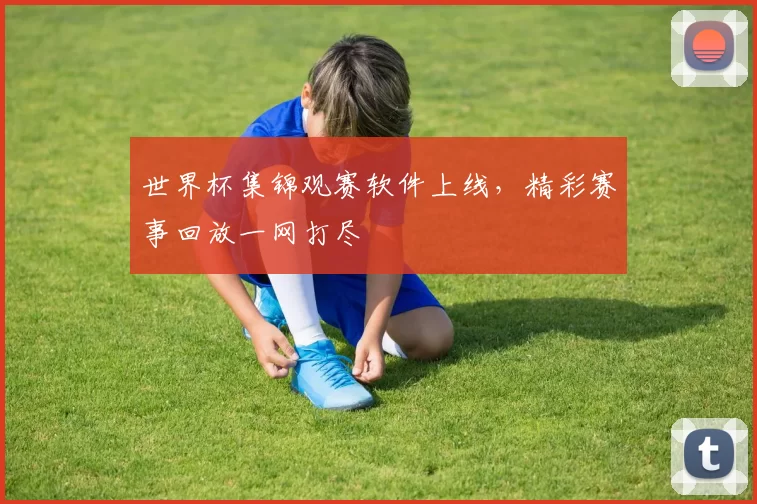 世界杯集锦观赛软件上线，精彩赛事回放一网打尽