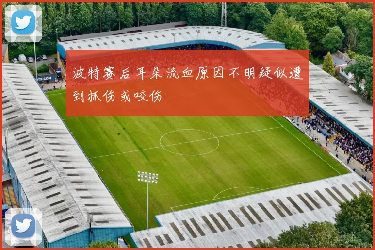 波特赛后耳朵流血原因不明疑似遭到抓伤或咬伤