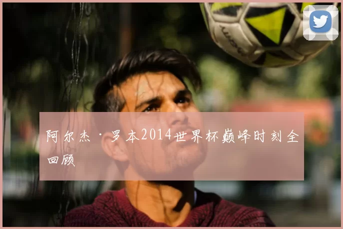 阿尔杰·罗本2014世界杯巅峰时刻全回顾