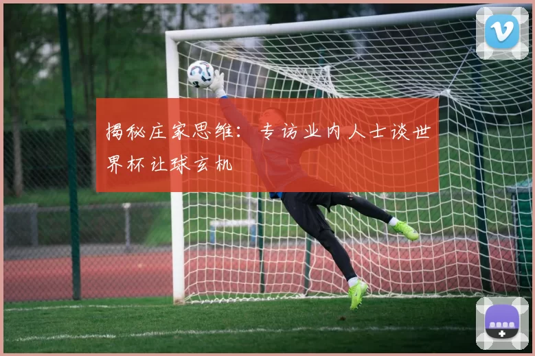 揭秘庄家思维:专访业内人士谈世界杯让球玄机