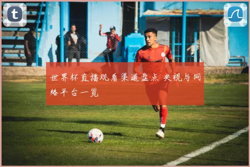 世界杯直播观看渠道盘点 央视与网络平台一览