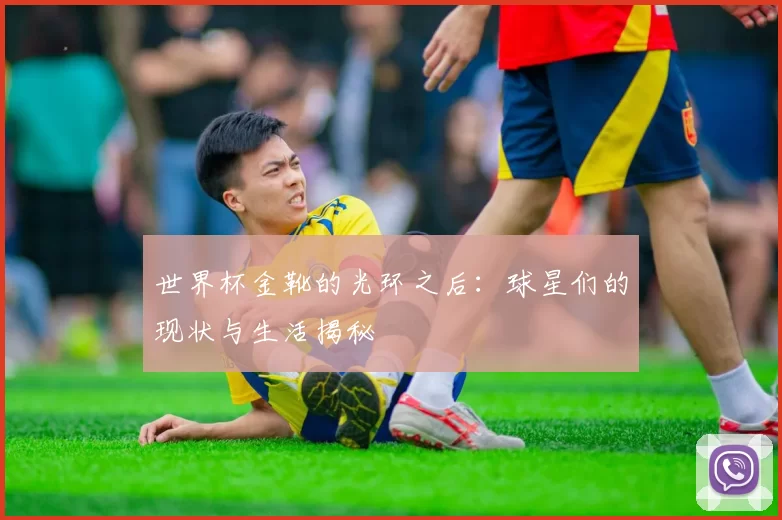 世界杯金靴的光环之后:球星们的现状与生活揭秘